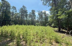 14.5 AC PCL A- OFF VIRGINIA LINE RD, BERKELEY SPRINGS, WV 25411