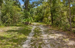 290 NE 789th St, Old Town, FL 32680