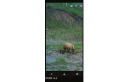 Parshall, CO 80468