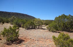 Tract 1B Camino del Sol, NM 87569