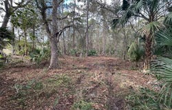 LAKE HARNEY RD, GENEVA, FL 32732