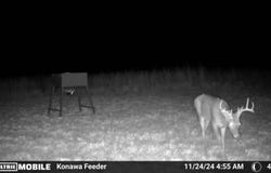 TRACT 5 EW 1430 Rd., Konawa, OK 74849