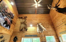 927 Bluestone River Rd, Jumping Branch, WV 25969
