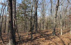Walnut Springs Drive lot: 112, Cape Fair, MO 65624