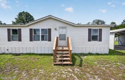 101 Coleman Place, Satsuma, FL 32189