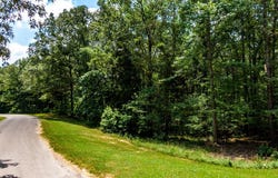 334 LOGGER Lane, Cedar Grove, TN 38321