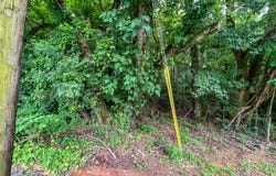 0 Rheatown Road, Chuckey, TN 37641