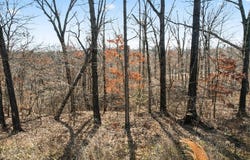 Selkirk Drive lot: 18, Bella Vista, AR 72715