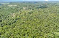 Ussery Road, Kershaw, SC 29067