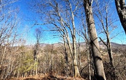 Vilas Overlook Drive, Vilas, NC 28692