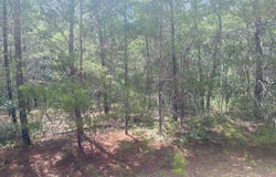 6 LOUISE Avenue, Interlachen, FL 32148