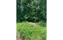 0 Bradley Road, Elliott, SC 29046