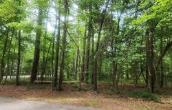 237 FOX RUN Drive, Hopkins, SC 29061