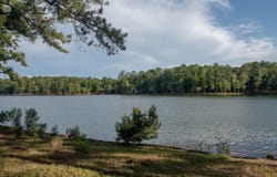 508 Luannes Way, Alexander City, AL 36853
