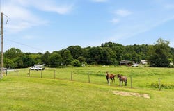 122 S Fork Road, Marion, VA 24354