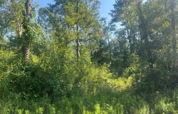 SE 226th Ave, Old Town, FL 32680