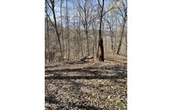 Lot 303 Cherrywood Lane, Sharps Chapel, TN 37866