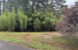 159 BRANDY LANE lot: 1, MULGA, AL 35118