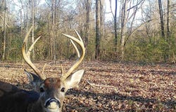 0 HWY 33, Gloster, MS 39638