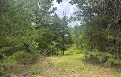 County Road 815, Gainesville, MO 65655