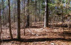 Lot 7 Blackberry Bend, Elberton, GA 30635