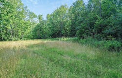 N11182 COUNTY RD T, TRIPOLI, WI 54564-9533