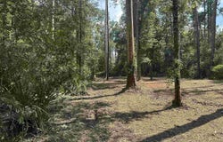 1.39 Acres Hood Rd, Denham Springs, LA 70726