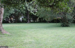 803 GRAFTON STREET, FREDERICKSBURG, VA 22405