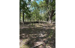 853 CR 206, Bremond, TX 76629