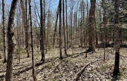 Camp 4, Wakefield, MI 49969
