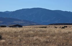 TBD Lot 14 Pope Valley Ranch Rd, Pueblo, CO 81005