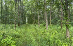 9283 E 250 S, Pierceton, IN 46562