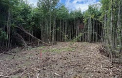 1994 Goforth Rd., Morrison, TN 37110