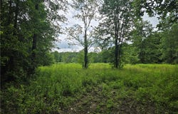 VL Parsons Road, Grafton, OH 44044