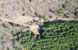 Pleasant Plains, AR 72568