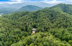 201 Flat Rock Way, Del Rio, TN 37727