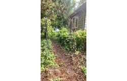 6732 Summerfield Road, Temperance, MI 48182