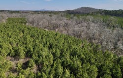 3002 US-231, Vincent, AL 35178