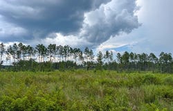 T-1 Highway 127, Jena, LA 71371