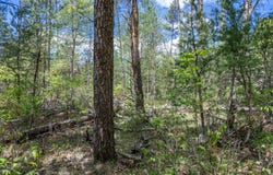 Lot 29 Beach Drive, New Lisbon, WI 53950