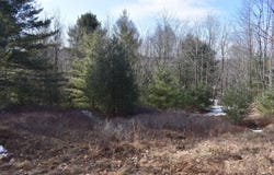 406 Hanslovan Lane, Pottersdale, PA 16871
