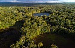 1345 Bosschem Road, Wellston, MI 49689