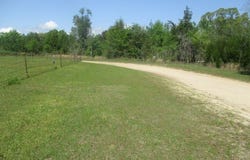 8062 Holly Island Dr., Donalsonville, GA 39845