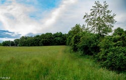 2200 Old Hall Parcel'S 3 & 4 Road, Limestone, TN 37681