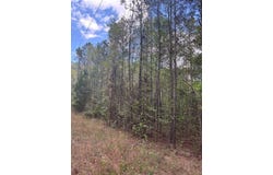Valley Rescue Mission Road lot: 202, Hamilton, GA 31811