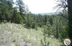 Lot 82 Cougar Trail, Reed Point, MT 59069