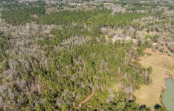 402 Mistletoe Lane, Monticello, FL 32344