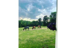 162 Yellow Springs Rd, Elizabethtown, IL 62931