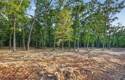 004 Cantrell Road, Mansfield, MO 65704
