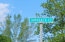 304 TAMERACK CT, UPPER MARLBORO, MD 20774
